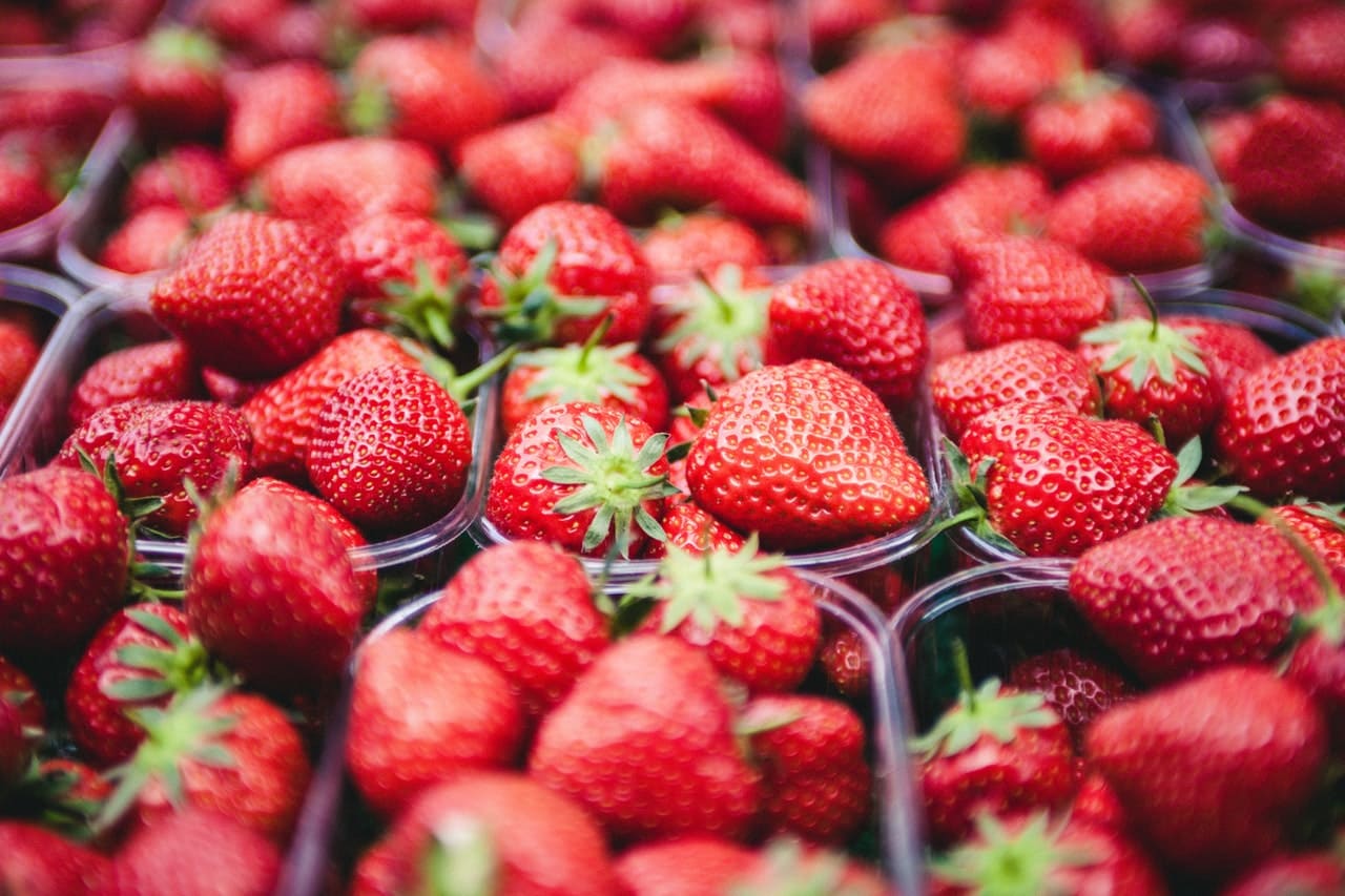 Photo prise de près de petits paniers en plastique remplis de fraises bien rouge. 