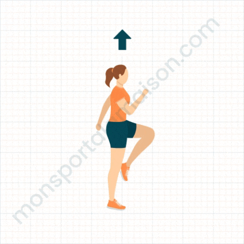Mont es De Genoux Le Meilleur Exercice Pour Maigrir GUIDE 