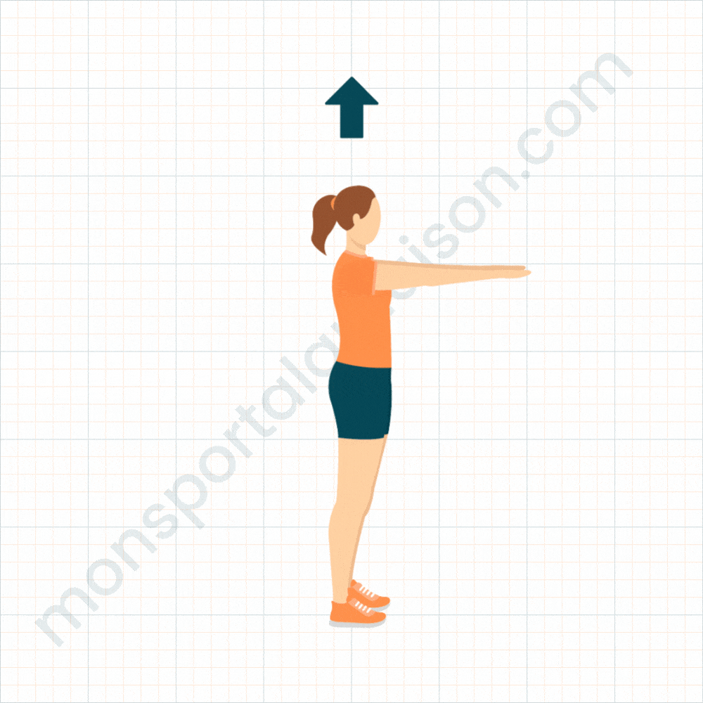 Illustration d'une femme sous forme de gif qui est entrain de faire un squat "classique".