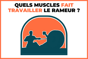 Quels Muscles Fait Travailler Le Rameur ?